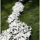 Illustration for article titled 20 Inspiring Flower Planters That Will Bring The Magic Into Your Garden
